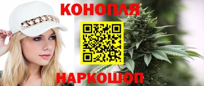 прущие грибы Будённовск